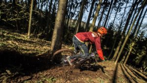 vtt descente foret